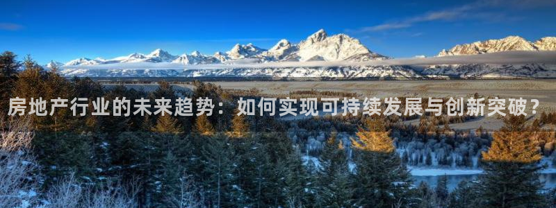 新宝5尤74OOO5：房地产行业的未来趋势：如何实现可持续发