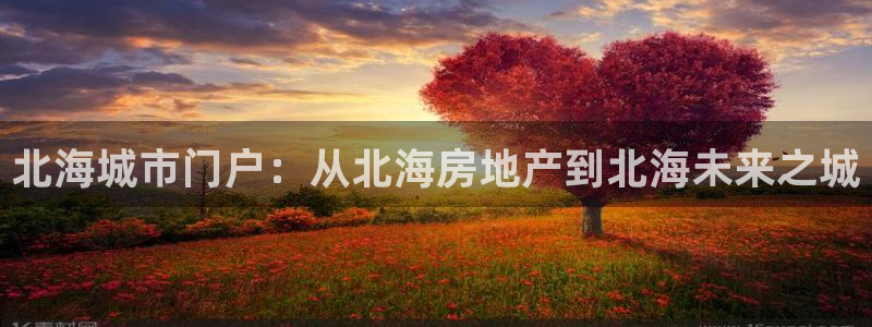新宝5娱乐多：北海城市门户：从北海房地产到北海未来之城