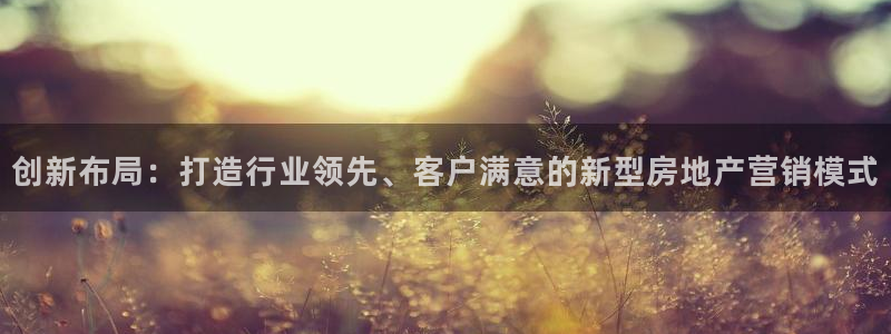 新宝5彩票娱乐平台：创新布局：打造行业领先、客户满意的新型房