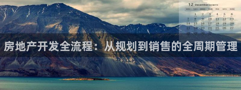 新宝5登录界面：房地产开发全流程：从规划到销售的全周期管理