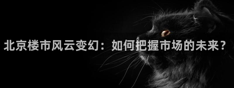 新宝5现在还能玩吗：北京楼市风云变幻：如何把握市场的未来？