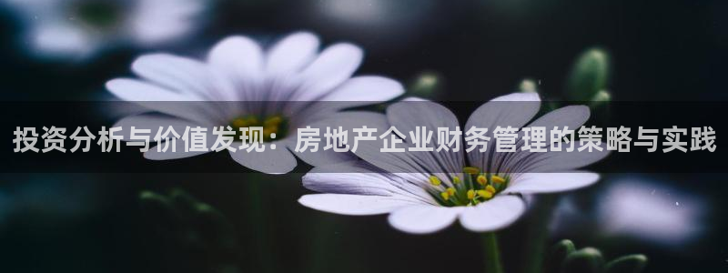 新宝5分彩：投资分析与价值发现：房地产企业财务管理的策略与实
