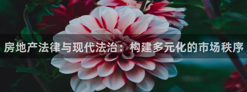 新宝5户端：房地产法律与现代法治：构建多元化的市场秩序
