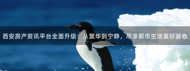 新宝5电脑登录网址：西安房产资讯平台全面升级：从繁华到宁静，