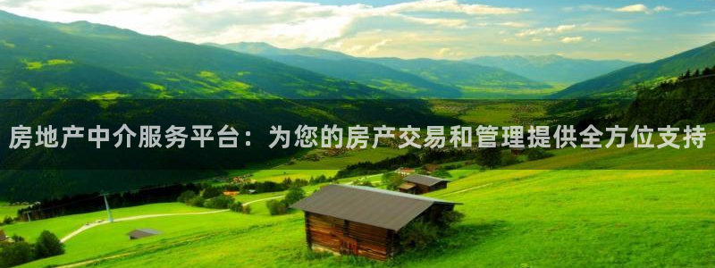 新宝5什么时候上市：房地产中介服务平台：为您的房产交易和管理