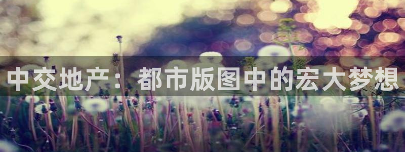 新宝5注册：中交地产：都市版图中的宏大梦想