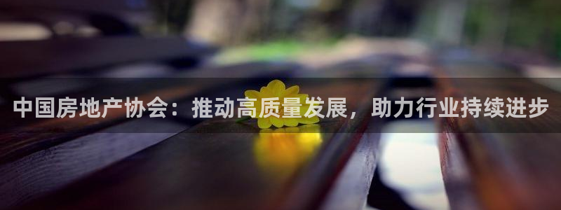 新宝5公司：中国房地产协会：推动高质量发展，助力行业持续进步