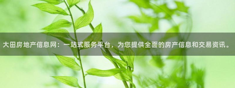 新宝5下载官方：大田房地产信息网：一站式服务平台，为您提供全