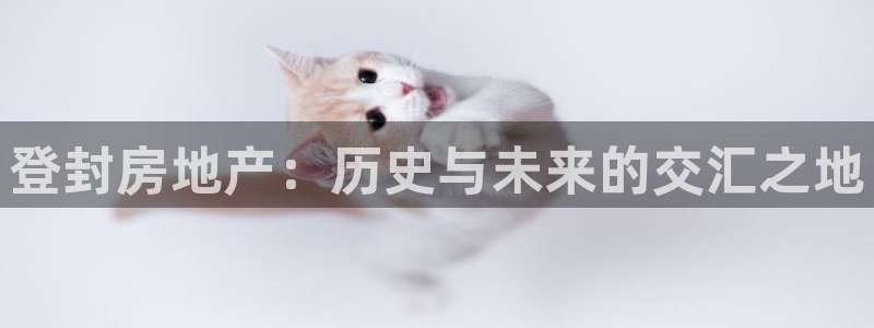 新宝5 - 测速登陆：登封房地产：历史与未来的交汇之地