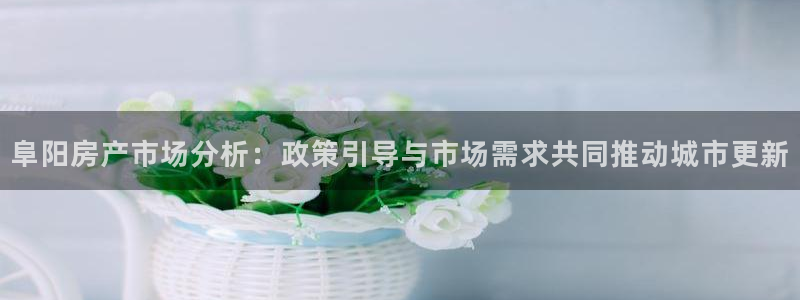 新宝5飞355051：阜阳房产市场分析：政策引导与市场需求共