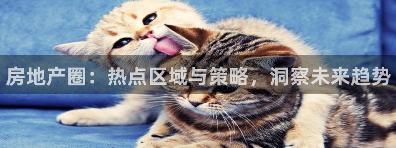 新宝5线路登录检测：房地产圈：热点区域与策略，洞察未来趋势