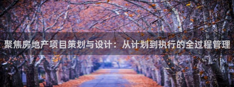 新宝5手机登录：聚焦房地产项目策划与设计：从计划到执行的全过