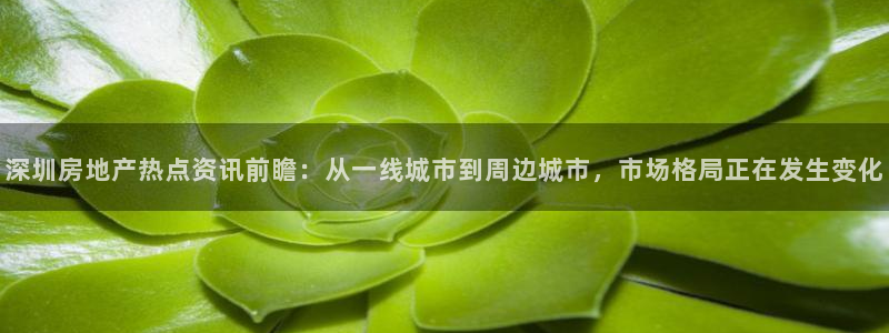 新宝5平台注册：深圳房地产热点资讯前瞻：从一线城市到周边城市