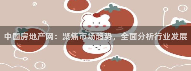 新宝5总代：中国房地产网：聚焦市场趋势，全面分析行业发展