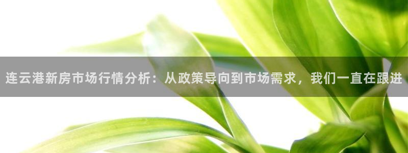 新宝5手机测速：连云港新房市场行情分析：从政策导向到市场需求