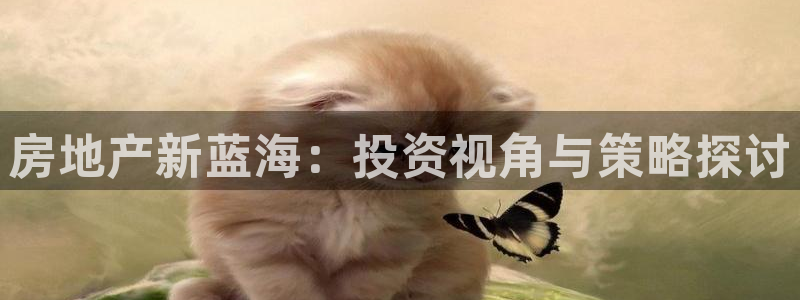 新宝5 代理：房地产新蓝海：投资视角与策略探讨