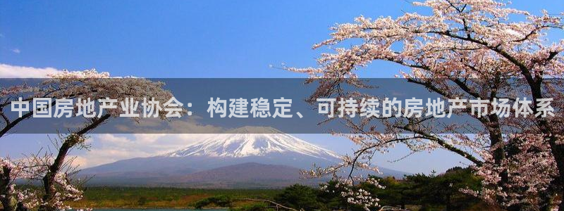 新宝5电脑：中国房地产业协会：构建稳定、可持续的房地产市场体