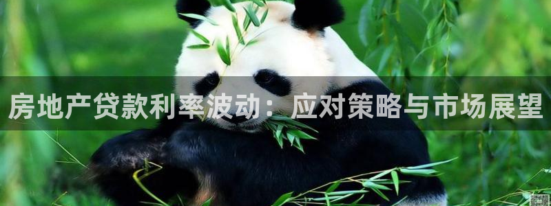 新宝5app：房地产贷款利率波动：应对策略与市场展望
