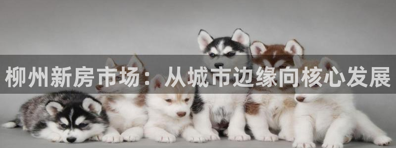 新宝5平台登录下载软件：柳州新房市场：从城市边缘向核心发展