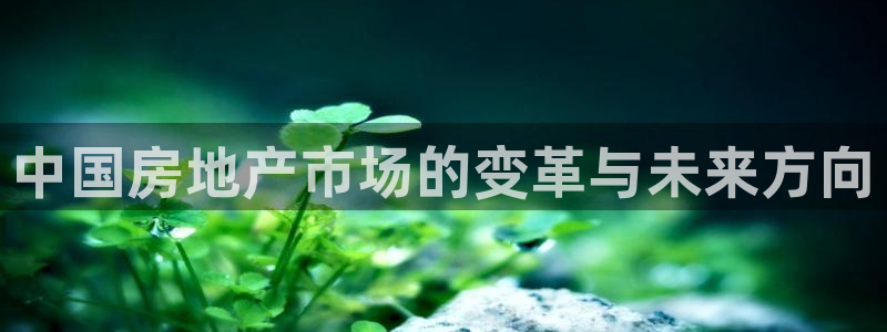 新宝j2O5O5O：中国房地产市场的变革与未来方向