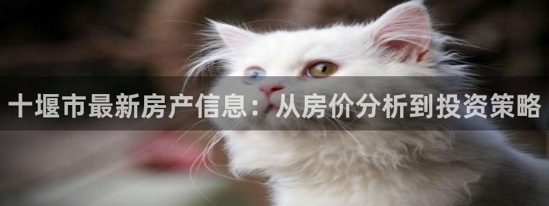 新宝5招商：十堰市最新房产信息：从房价分析到投资策略