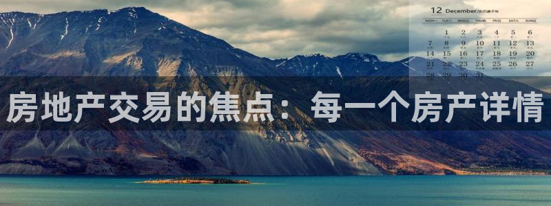 新宝 5测速：房地产交易的焦点：每一个房产详情
