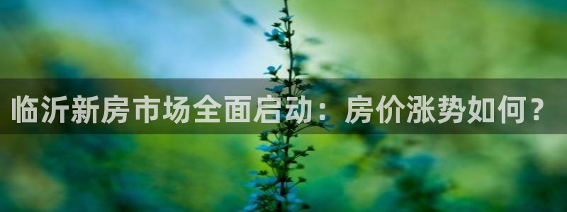 新宝_5：临沂新房市场全面启动：房价涨势如何？