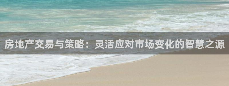 新宝5招商部：房地产交易与策略：灵活应对市场变化的智慧之源
