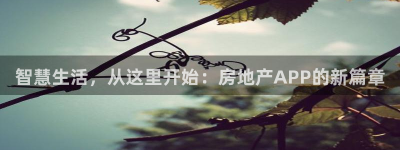 新宝5褚74OOO5：智慧生活，从这里开始：房地产APP的新