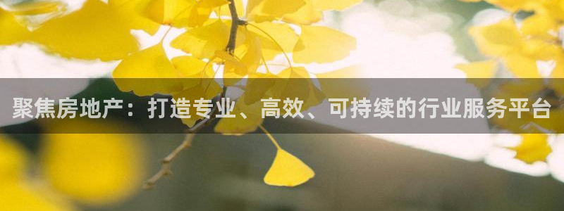 新宝5日740005蔻：聚焦房地产：打造专业、高效、可持续的