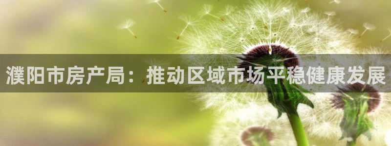 新宝5安卓版：濮阳市房产局：推动区域市场平稳健康发展