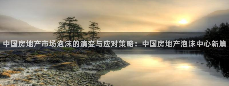 新宝5王问74OOO5：中国房地产市场泡沫的演变与应对策略：