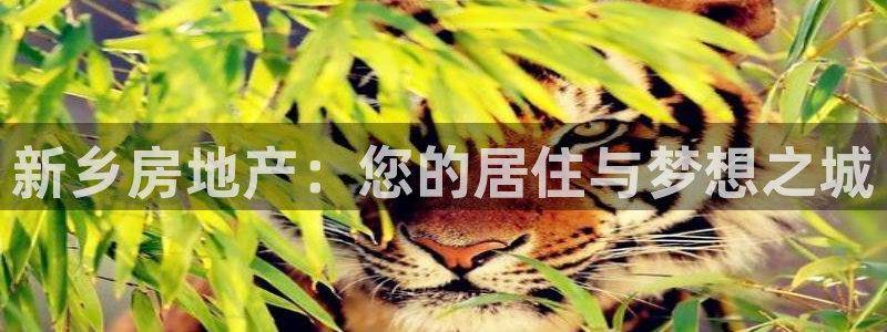 新宝5代理注册：新乡房地产：您的居住与梦想之城
