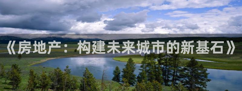 新宝m2O5O5O：《房地产：构建未来城市的新基石》
