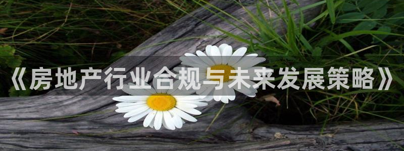 新宝5是什么样子的：《房地产行业合规与未来发展策略》
