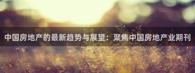 5新宝：中国房地产的最新趋势与展望：聚焦中国房地产业期刊