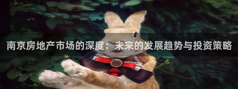 新宝5娱乐登录：南京房地产市场的深度：未来的发展趋势与投资策