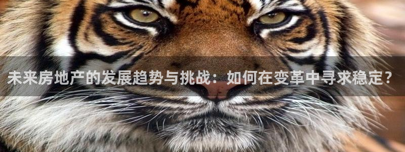 新宝5娱乐学：未来房地产的发展趋势与挑战：如何在变革中寻求稳
