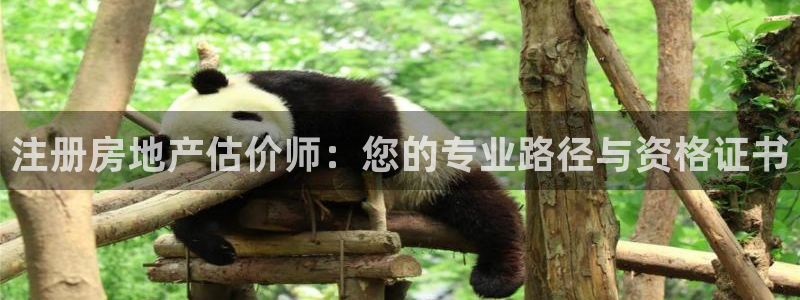 新宝5平台注册公司：注册房地产估价师：您的专业路径与资格证书