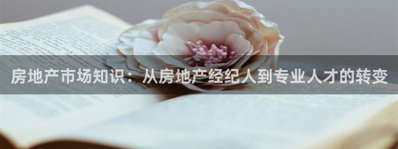 新宝5招商部：房地产市场知识：从房地产经纪人到专业人才的转变