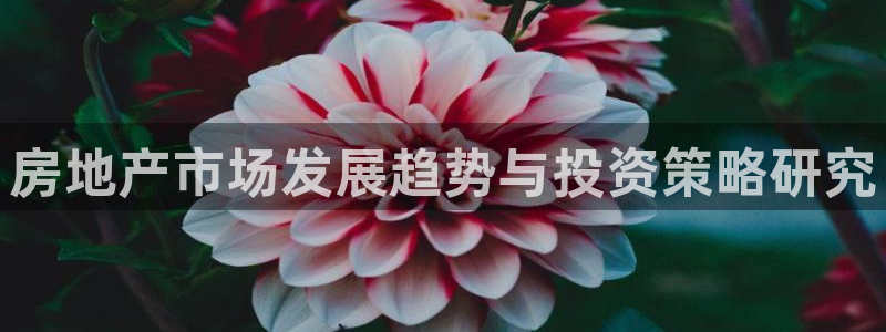 新宝5导师：房地产市场发展趋势与投资策略研究
