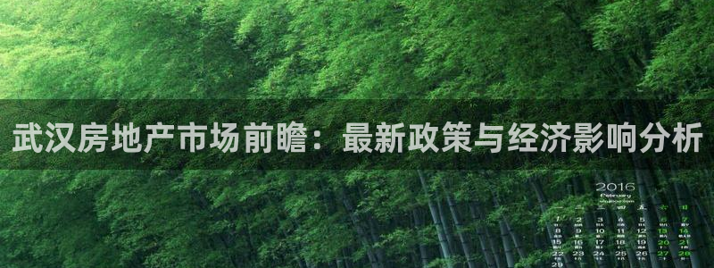 新宝娱乐5入口：武汉房地产市场前瞻：最新政策与经济影响分析