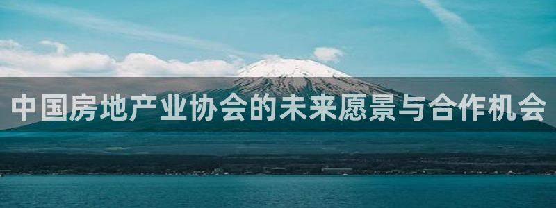 新宝5客户端登录：中国房地产业协会的未来愿景与合作机会