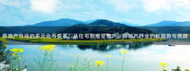 新宝cR一5：房地产市场的多元化与变革：从住宅到商业地产，房