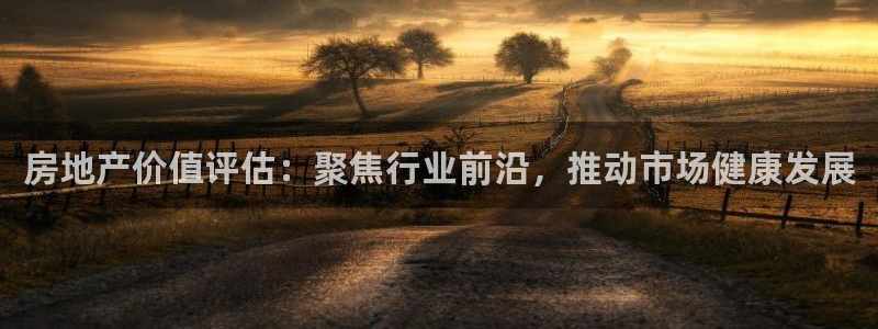 新宝5官方：房地产价值评估：聚焦行业前沿，推动市场健康发展