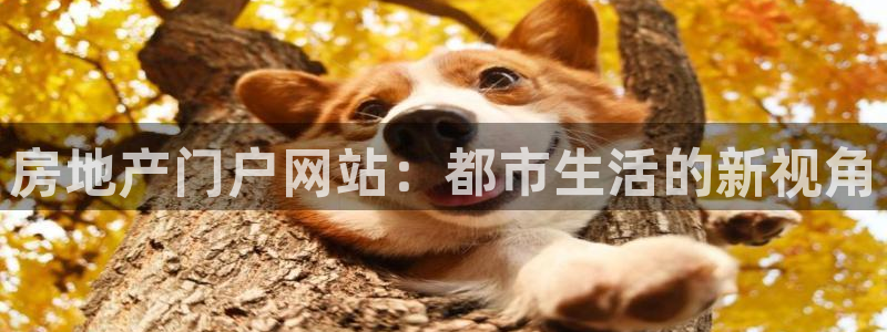新宝注5册：房地产门户网站：都市生活的新视角