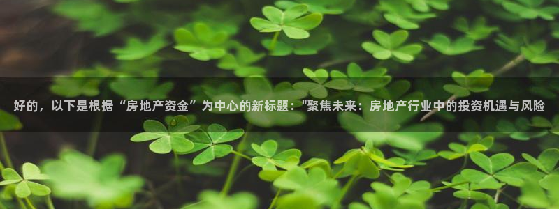 新宝5娱乐网址：好的，以下是根据“房地产资金”为中心的新标题
