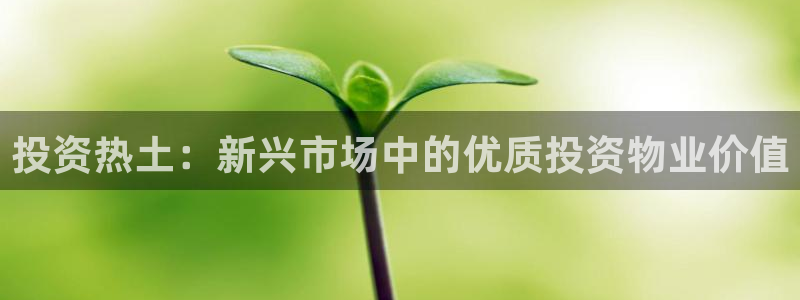 新宝5娱乐登录：投资热土：新兴市场中的优质投资物业价值