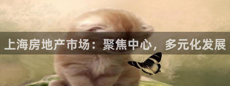 新宝5线路登录检测：上海房地产市场：聚焦中心，多元化发展