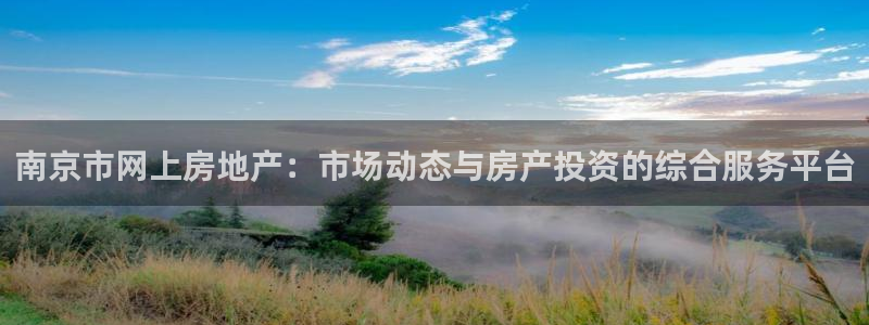 新宝5彩票平台登陆：南京市网上房地产：市场动态与房产投资的综